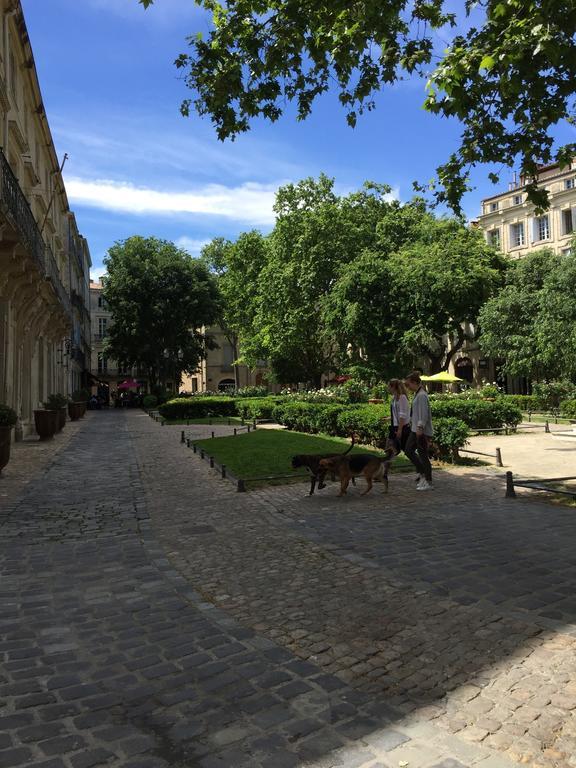 Appartement Vieille Intendance Montpellier Dış mekan fotoğraf